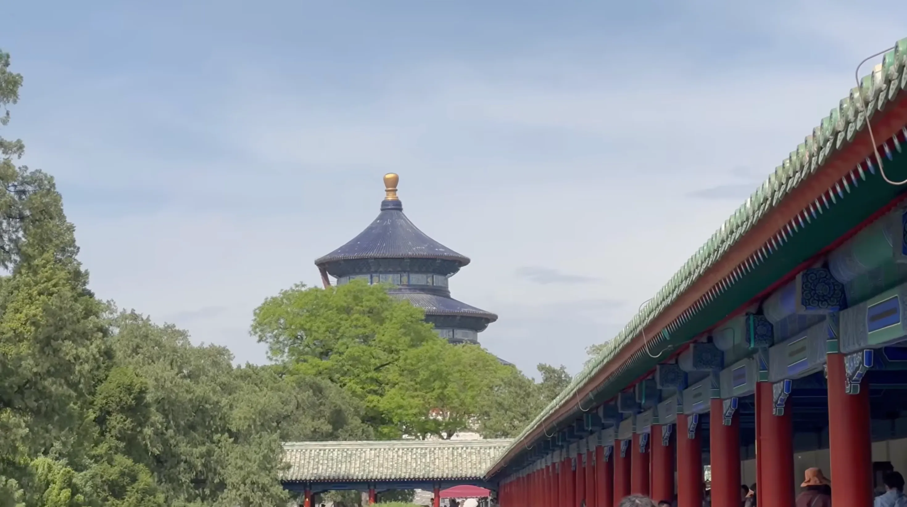 Ancient cypresses and path at Temple of Heaven