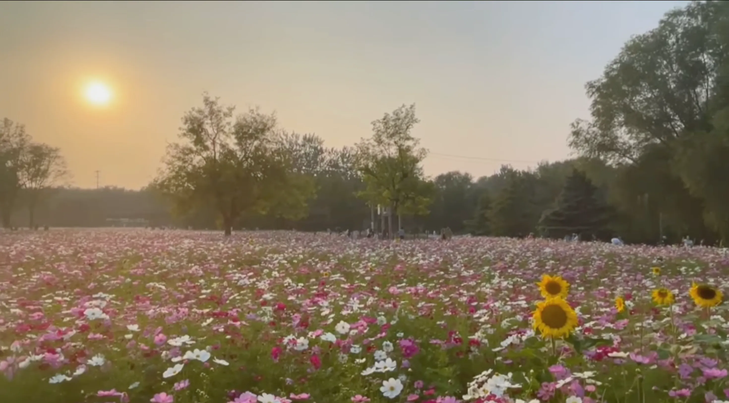Olympic Park plaza and landmark buildings